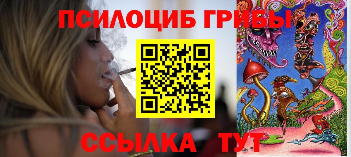 Псилоцибиновые грибы Cubensis Пыть-Ях
